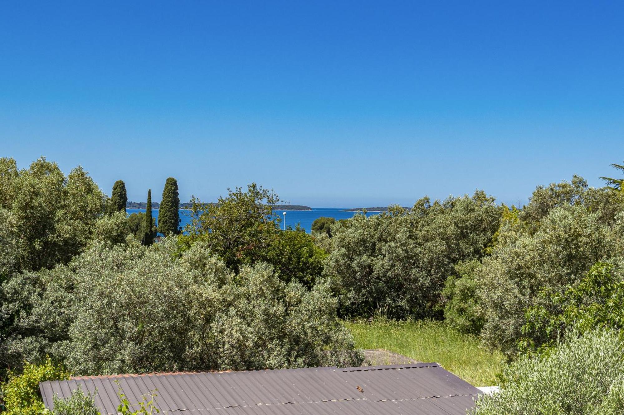 Apartment Nenad - Amazing Sea View ! Only 500 Meters From The Beach ! Fažana Esterno foto